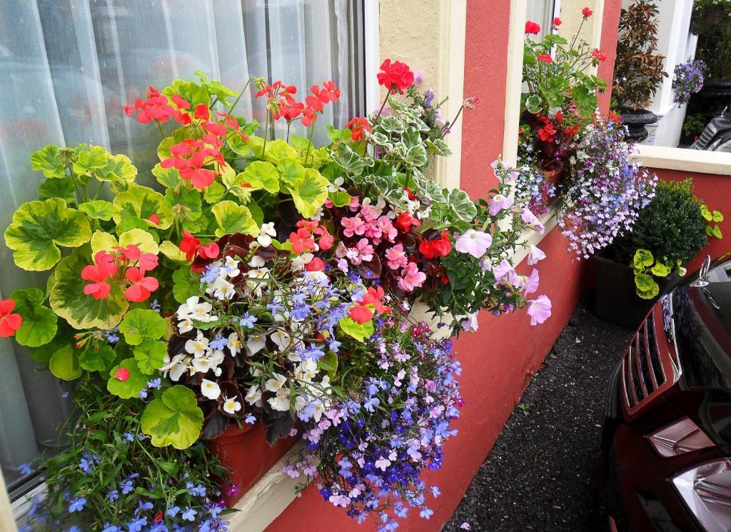 Achill House Hotel คอร์ก ภายนอก รูปภาพ